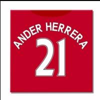 2016 2017 man united canvas print ander herrera 21