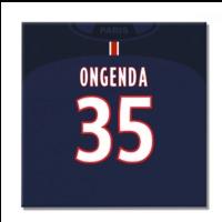 2016 2017 psg canvas print ongenda 35