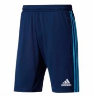 2017-2018 Marseille Adidas Training Shorts (Navy)