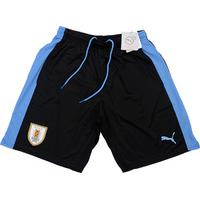 2016 17 uruguay home shorts bnib