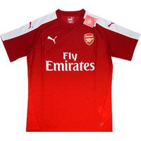 2015 16 arsenal puma training tee bnib