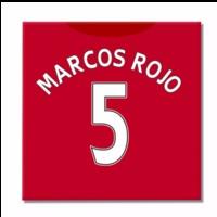 2016 2017 man united canvas print marcos rojo 5