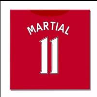 2016 2017 man united canvas print martial 11