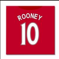 2016 2017 man united canvas print rooney 10