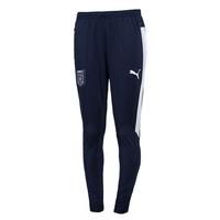 2017-2018 Italy Tapered Stadium Pants (Peacot)