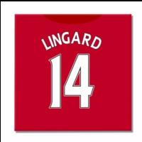 2016 2017 man united canvas print lingard 14