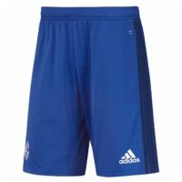 2017-2018 Schalke Adidas Training Shorts (Blue)