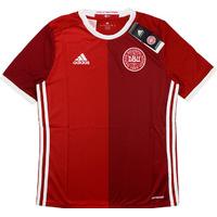 2016 Denmark Home Shirt *BNIB* BOYS