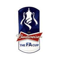 2012-14 Budweiser FA Cup Player Issue Patch