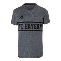 2017-2018 Bayern Munich Adidas Graphic 1900 Lifestyle Tee (Grey)