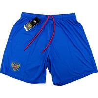 2016 17 russia away shorts bnib