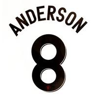 2012-13 Manchester United European Away Anderson #8 Name Set