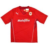 2013-14 Cardiff Home Shirt *w/Tags* L