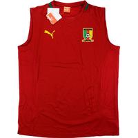 2011 13 cameroon puma training vest bnib