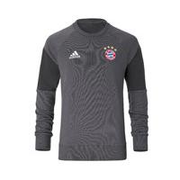 2016-2017 Bayern Munich Adidas Sweat Top (Granite)