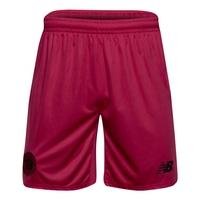 2016 2017 celtic third shorts pink