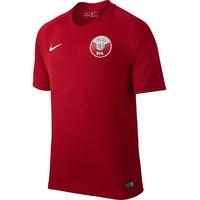 2016-2017 Qatar Home Nike Footba...