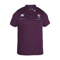 2016-2017 Ireland Rugby Cotton Training Polo Shirt (Irish Plum)