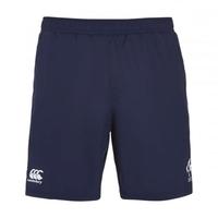 2016-2017 Ireland Rugby Gym Shorts (Peacot)