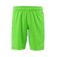 2016-2017 Inter Milan Nike Third Shorts (Green)