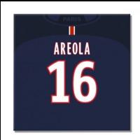 2016 2017 psg canvas print areola 16