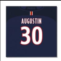 2016-2017 PSG Canvas Print (Augu...
