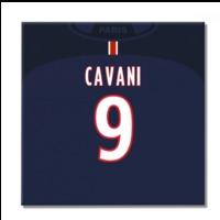 2016-2017 PSG Canvas Print (Cava...