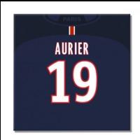 2016-2017 PSG Canvas Print (Auri...
