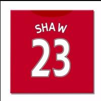 2016-2017 Man United Canvas Prin...