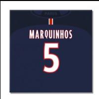 2016-2017 PSG Canvas Print (Marq...