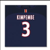 2016-2017 PSG Canvas Print (Kimp...