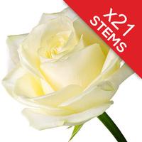21 White Roses
