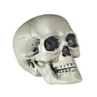 21cm Pvc Skull Halloween Decoration