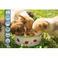 22 instead of 127 from centre of excellence for an online canine nutri ...