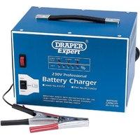 230v prof battery charger