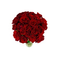 24 Select Red Roses