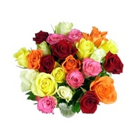 24 Classic Mixed Roses