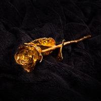 24 Carat Gold Rose