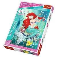 24pcs Maxi - Ariel Underwater Beauty Salon