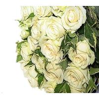 24 Luxury White Roses