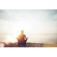 24 instead of 299 from vita online for an online certified mindfulness ...