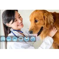 24 instead of 175 for an online veterinary support assistant course fr ...