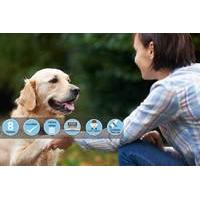 24 instead of 127 from centre of excellence for an online canine commu ...