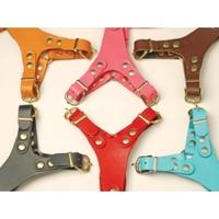 24 pink bull terrier small harness