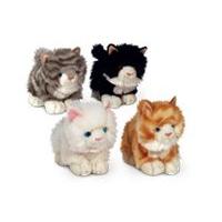 25cm Laying Cat Soft Toy Assorted Styles