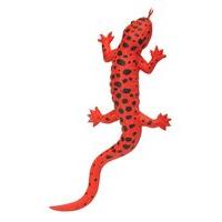 25cm Red Rubber Salamander Toy.