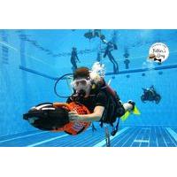 25 instead of 50 for a james bond scuba diving experience for two peop ...