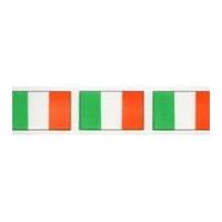 25mm Berisford Irish Tricolour Print Ribbon 1 Multicoloured