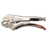 250mm Self Grip Pliers