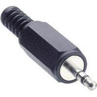 2.5 mm audio jack Plug, straight Number of pins: 3 Stereo Black Lumberg KLS 13 1 pc(s)